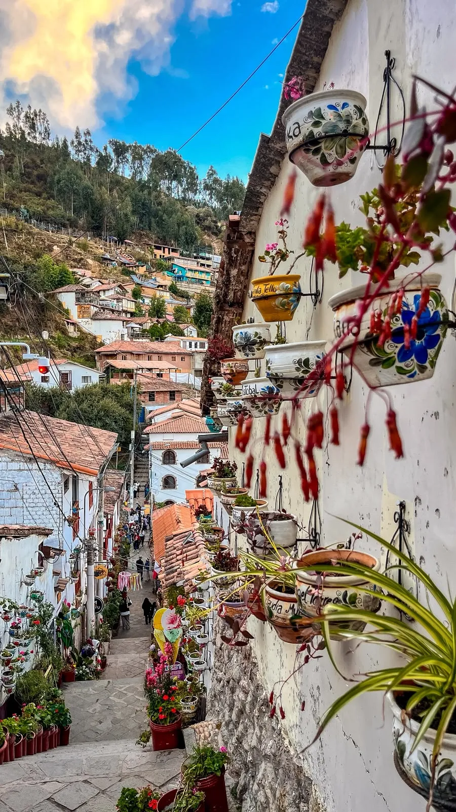 Escalinatas floridas