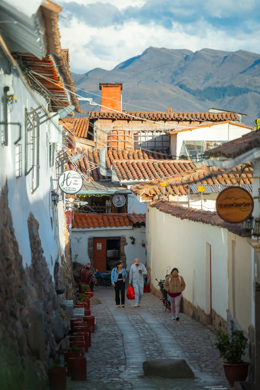 Tejados y montañas