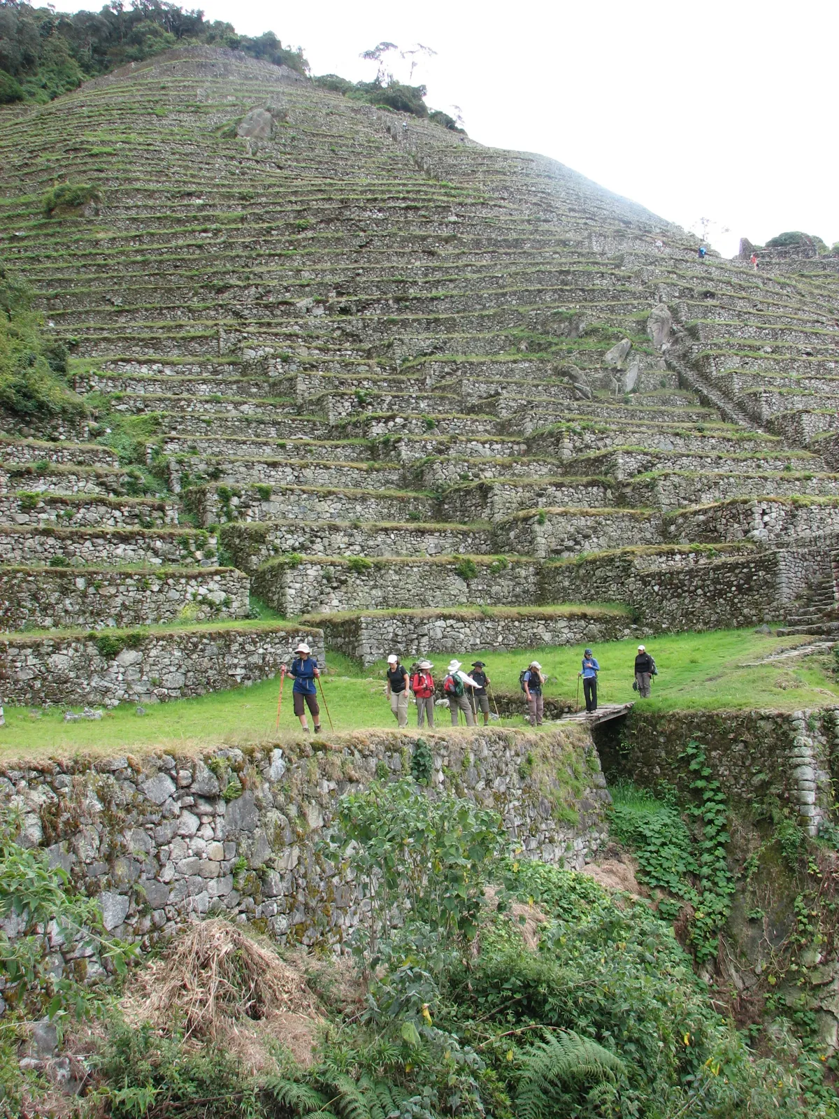 Caminantes en las terrazas incas de Intipata, Camino Inca